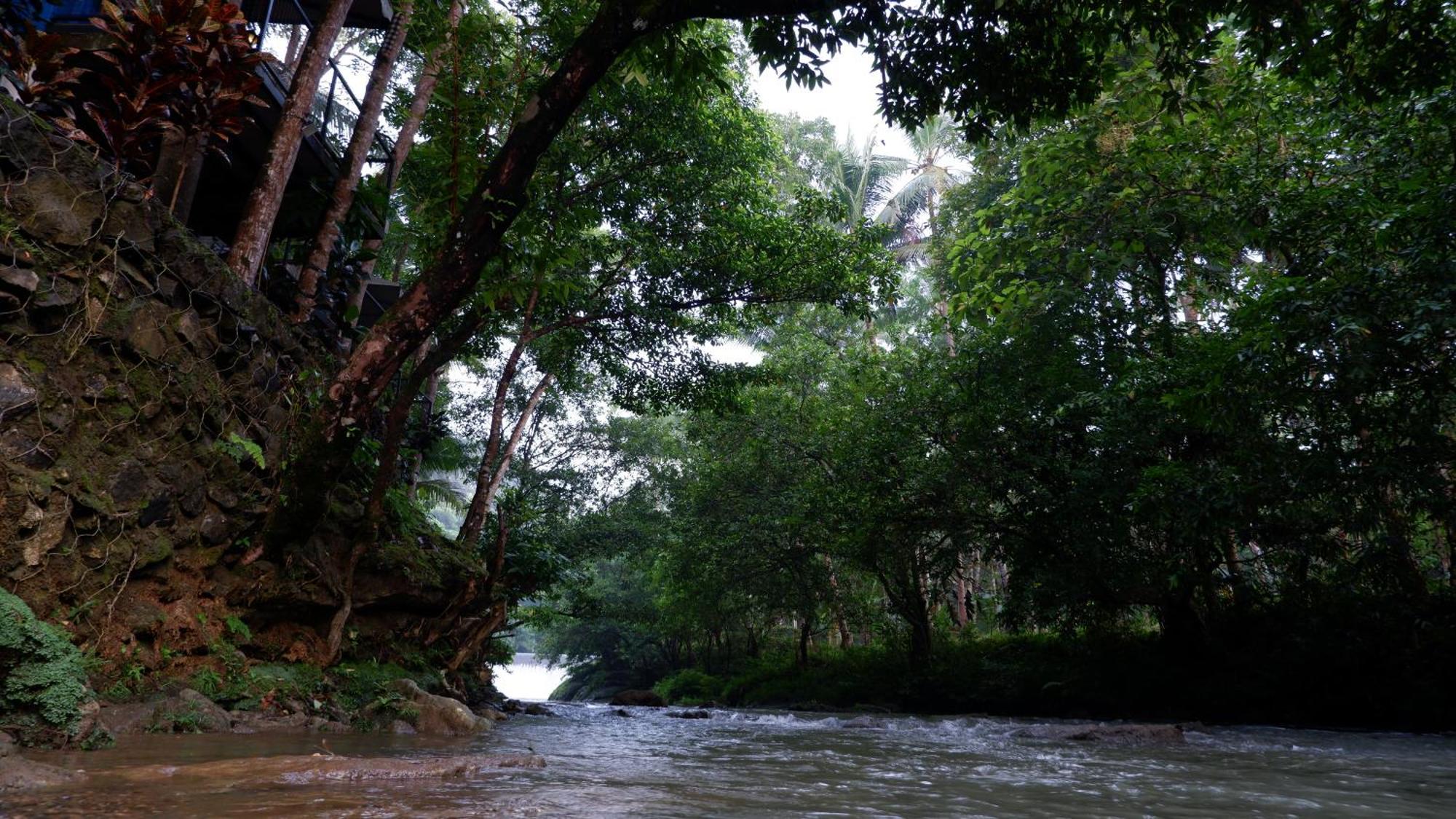 Hau Eco Lodges Citumang Пангандаран Екстер'єр фото
